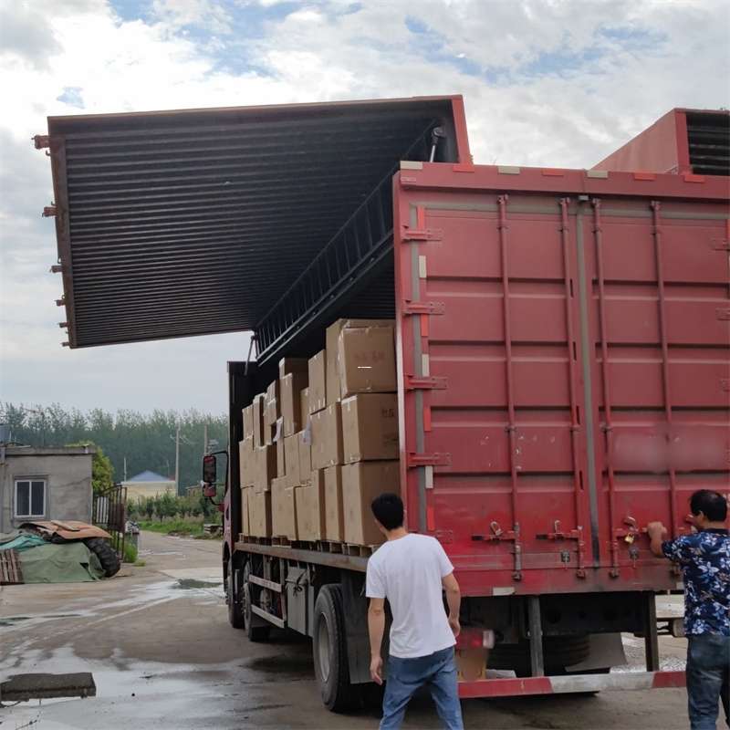 平利县扎囊县：物流专线的高效货运之旅